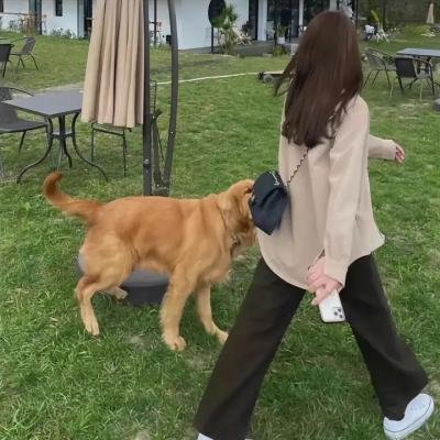 焦虑