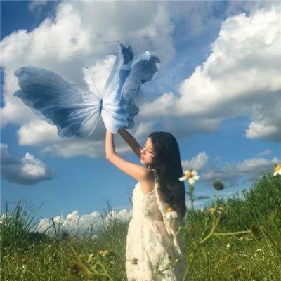 龙牌之谜